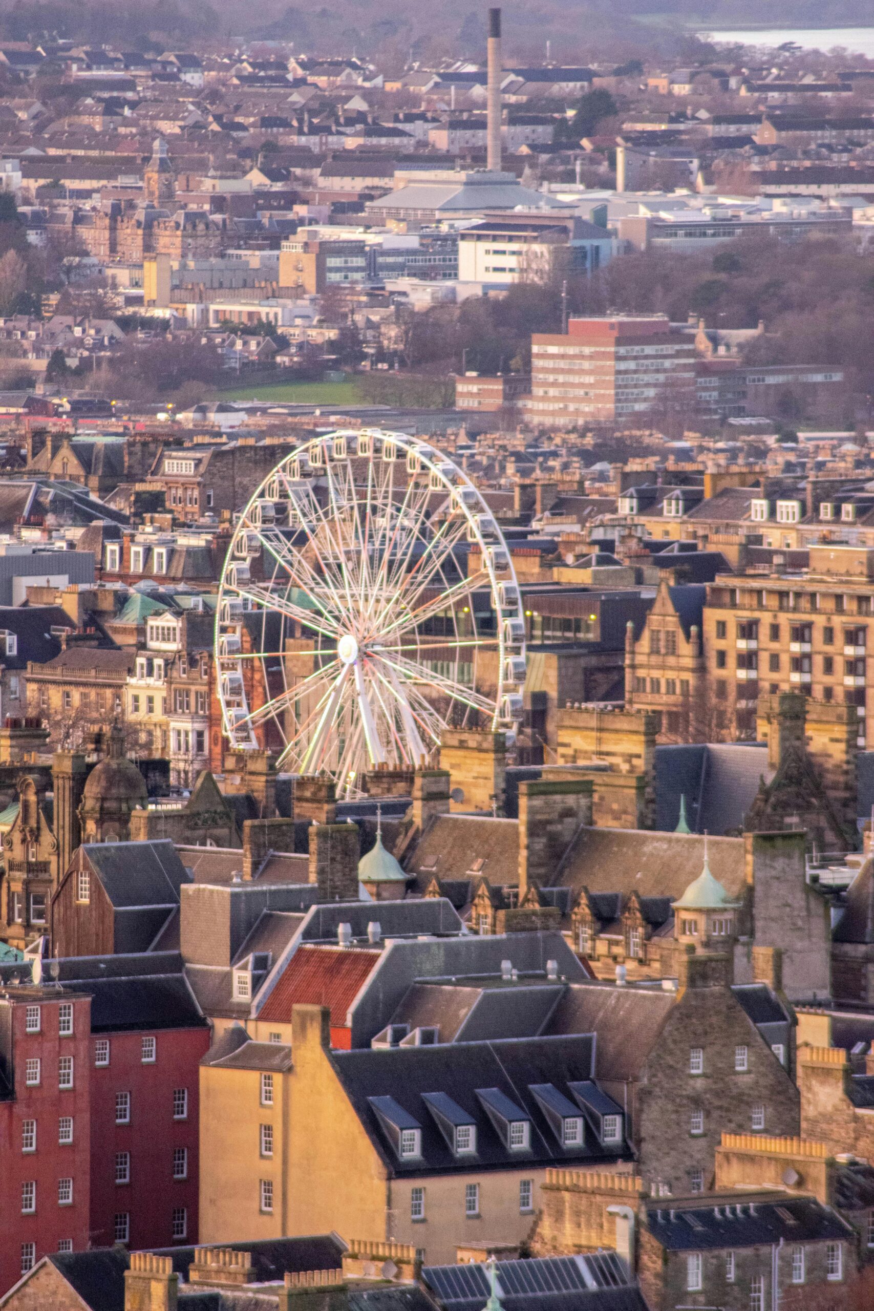 Ferris wheel in city
