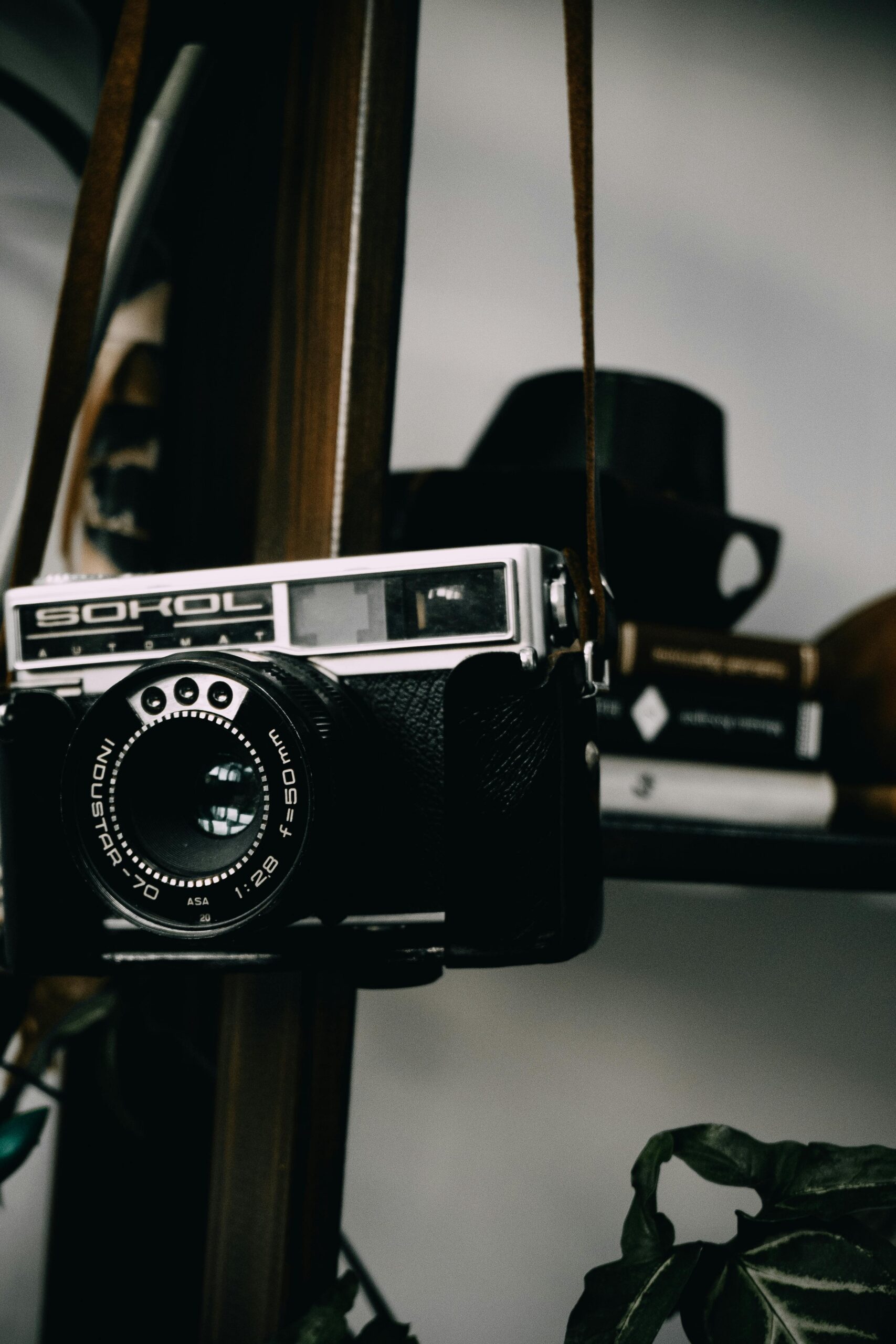 vintage camera hangign