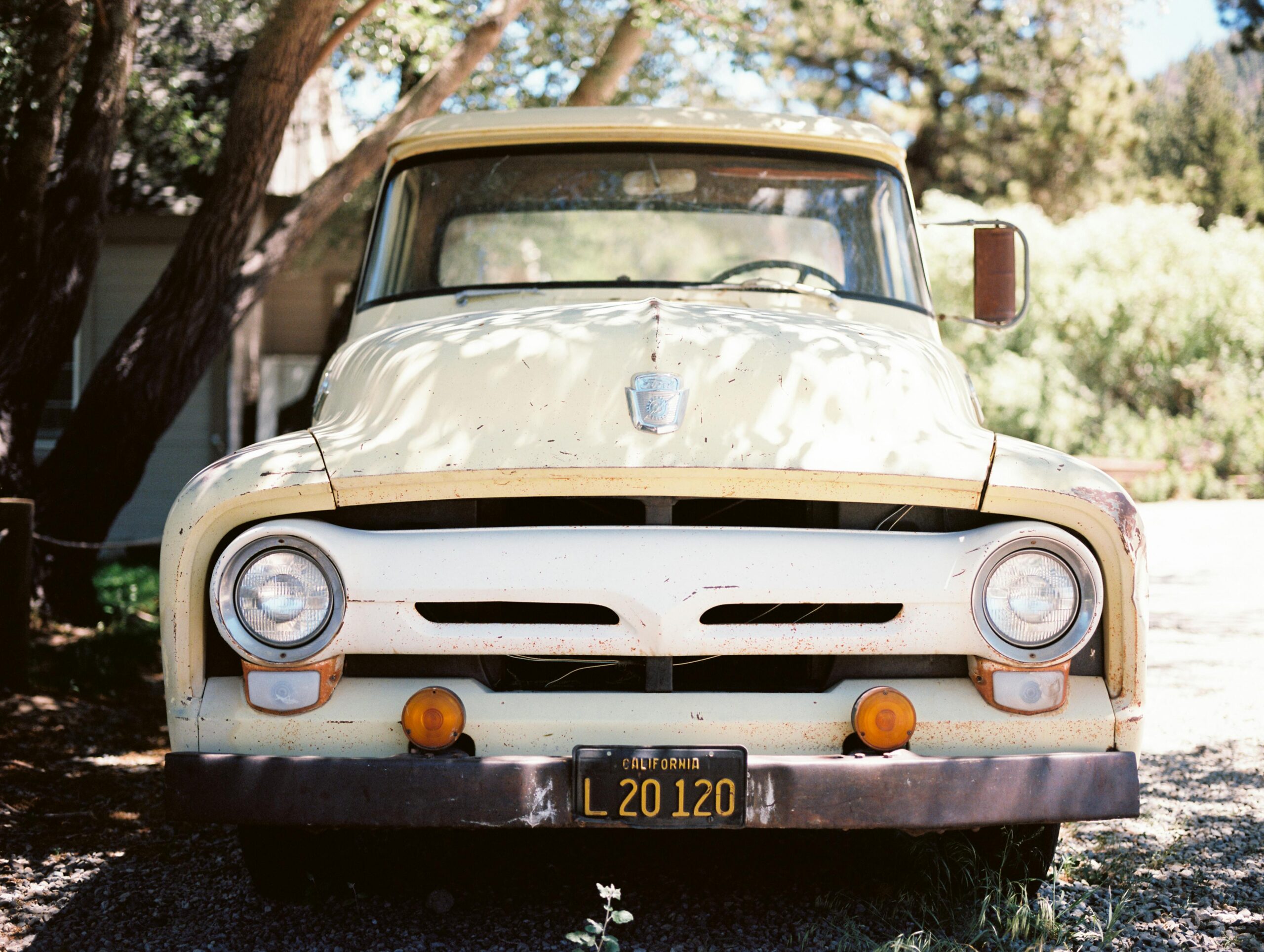 vintage white tryck